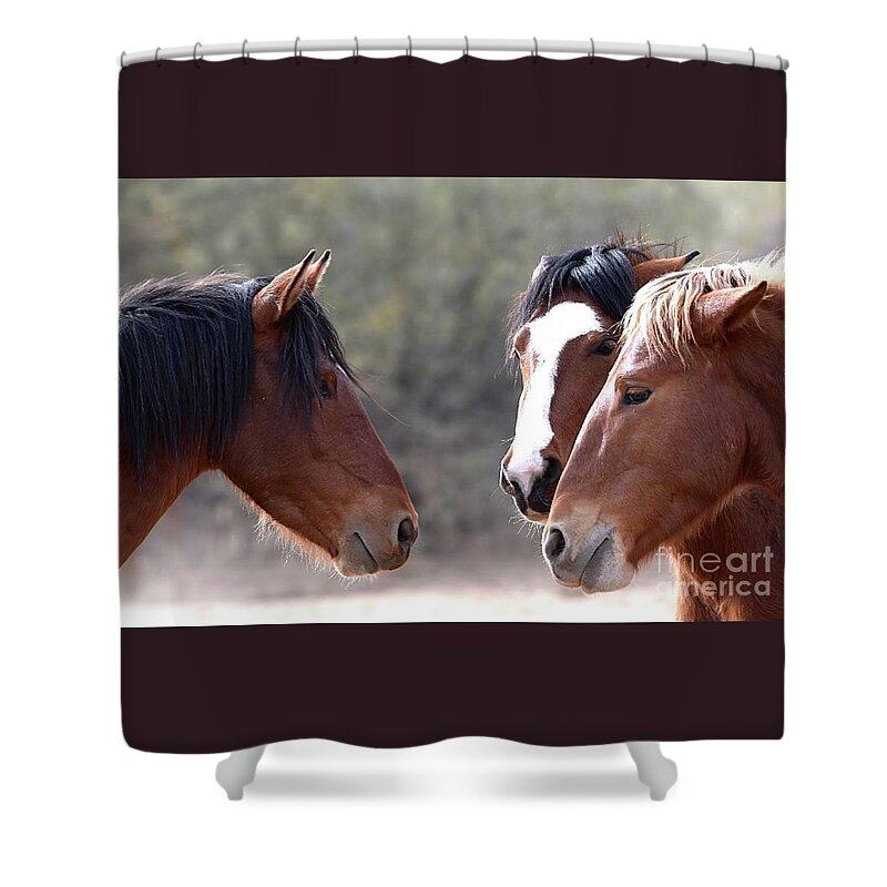 Salt River Wild Horse Shower Curtain featuring the digital art Discussions by Tammy Keyes