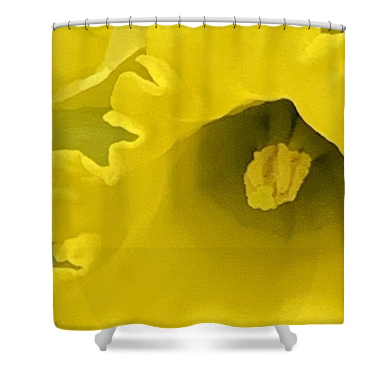 Daffodil Shower Curtain featuring the photograph Divinely Golden by Tiesa Wesen