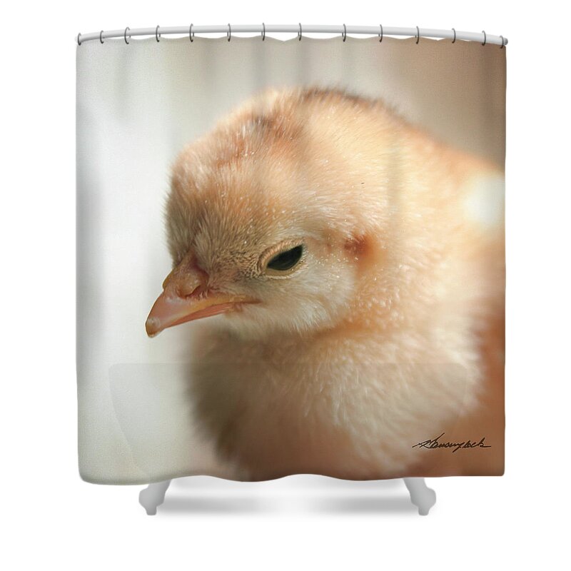 Color Shower Curtain featuring the photograph Dixie Chick by Alan Hausenflock