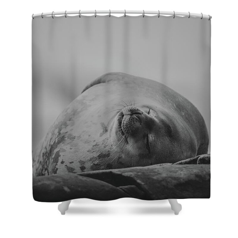 03feb20 Shower Curtain featuring the photograph Do Not Awaken - Makes Me Crabby BW by Jeff at JSJ Photography