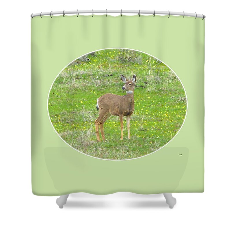 Young Deer Shower Curtain featuring the digital art Doe In March by Will Borden