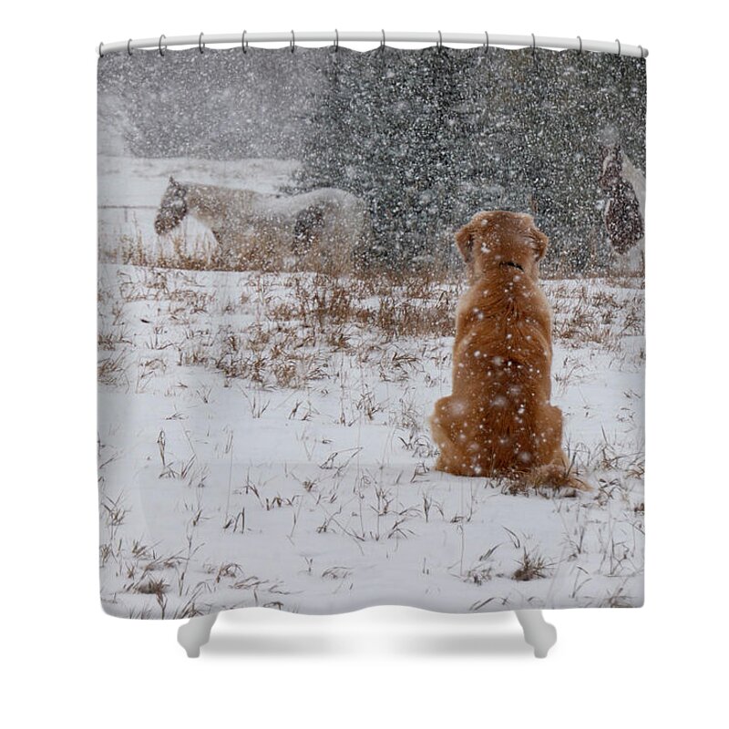 Snow Shower Curtain featuring the photograph Dog And Horses In The Snow by Phil And Karen Rispin