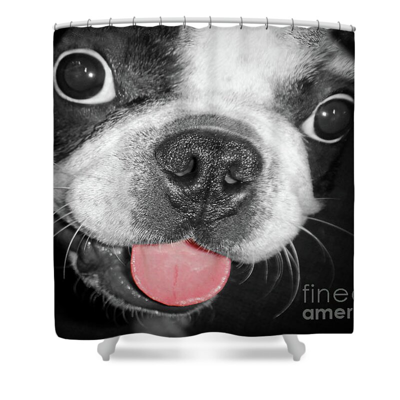 Dog Shower Curtain featuring the photograph Doggy Breath by John Hartung  ArtThatSmiles com