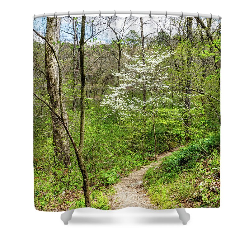 Natural Falls State Park Shower Curtain featuring the photograph Dogwood Natural Falls State Park by Jennifer White