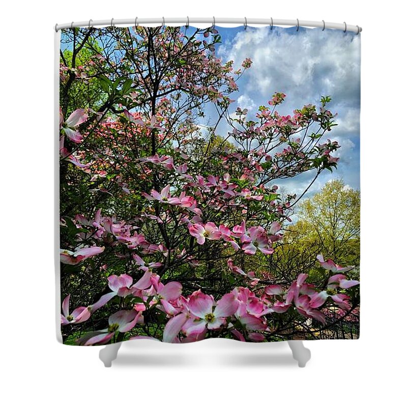 Spring Blossom Trees Dogwoods Shower Curtain featuring the photograph Donna Dogwood by Ruben Carrillo