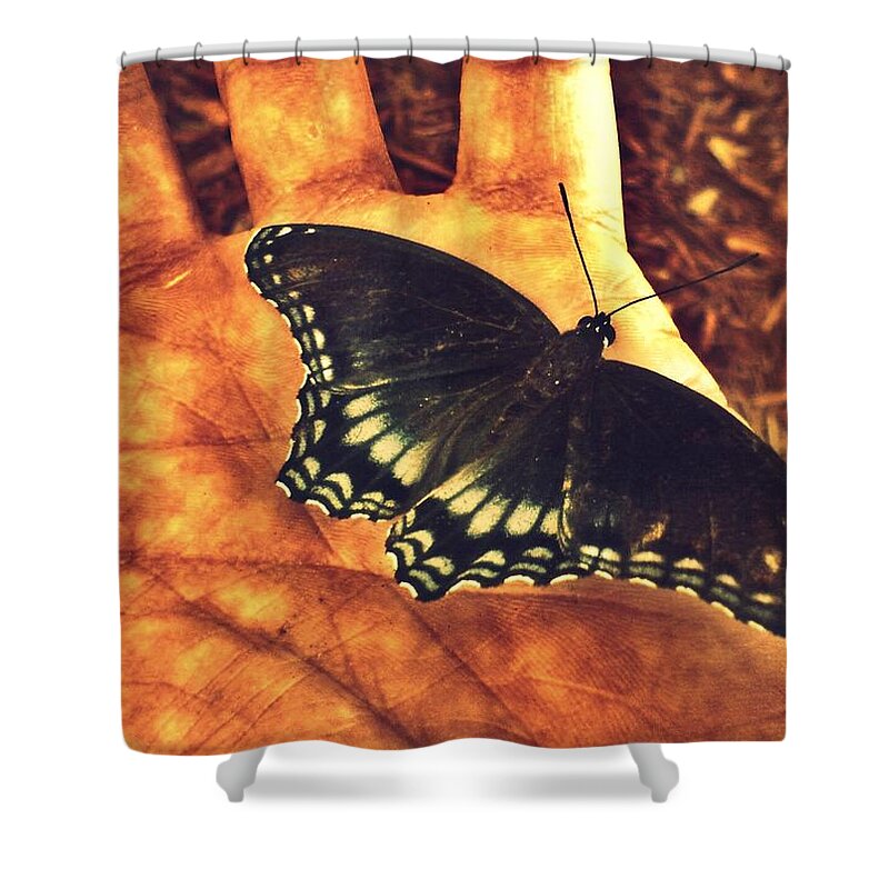 Butterfly Shower Curtain featuring the photograph Don't Let Her Get Stepped On by Andy Rhodes
