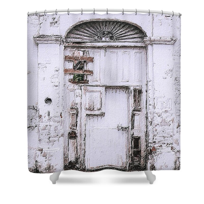 Exit Shower Curtain featuring the painting Door 4 by Tony Rubino