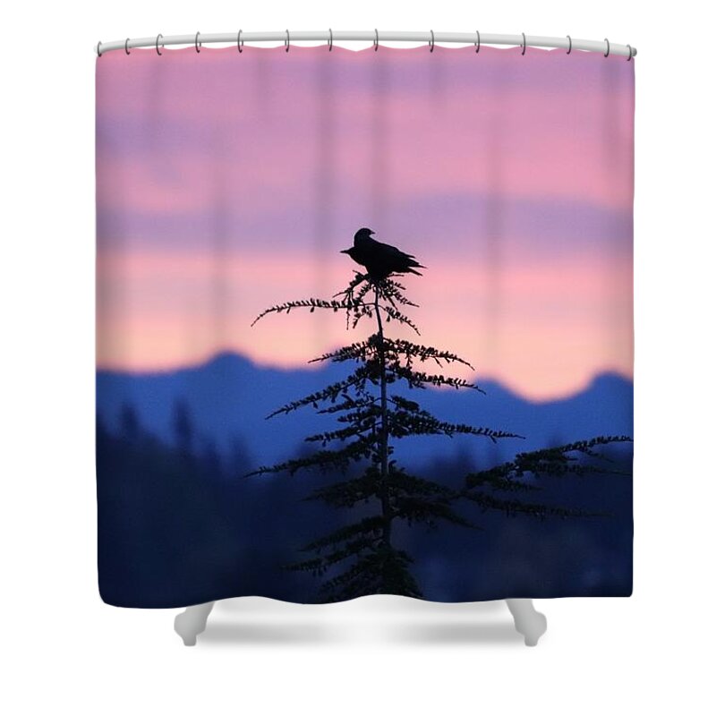 Sunrise Shower Curtain featuring the photograph Double Crow in the Sunrise by Tahmina Watson