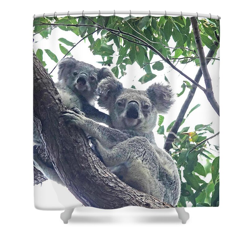 Animals Shower Curtain featuring the photograph Double Cute by Maryse Jansen