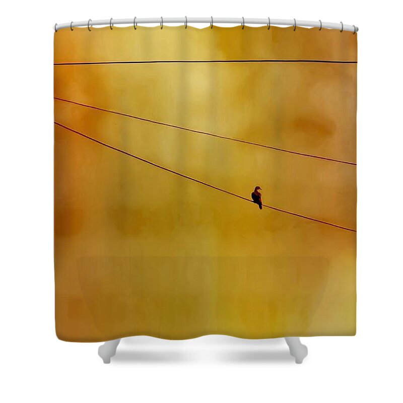 Perching Shower Curtain featuring the photograph Dove on a Wire - Gold by Judy Kennedy