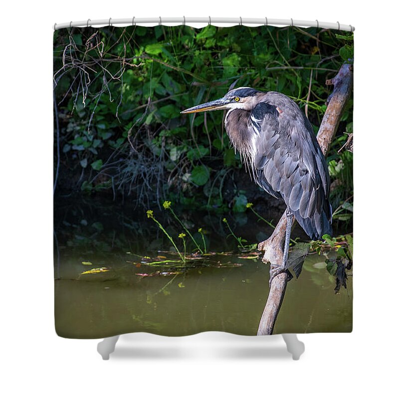 River Shower Curtain featuring the photograph Down by the river by Stephen Sloan