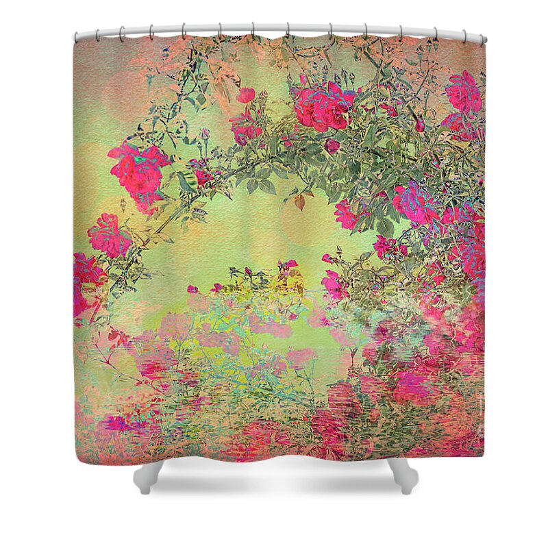 Rose Shower Curtain featuring the photograph Dr. Huey Reflections by Elaine Teague