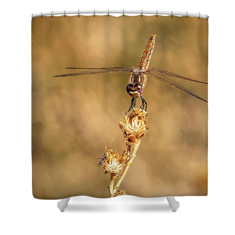 Dragonfly Shower Curtain featuring the photograph Dragonfly 2 by James Sage
