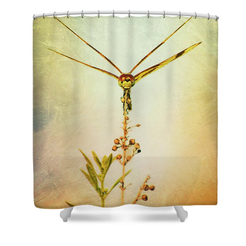 Dragonfly Shower Curtain featuring the photograph Dragonfly by Carolyn Hutchins