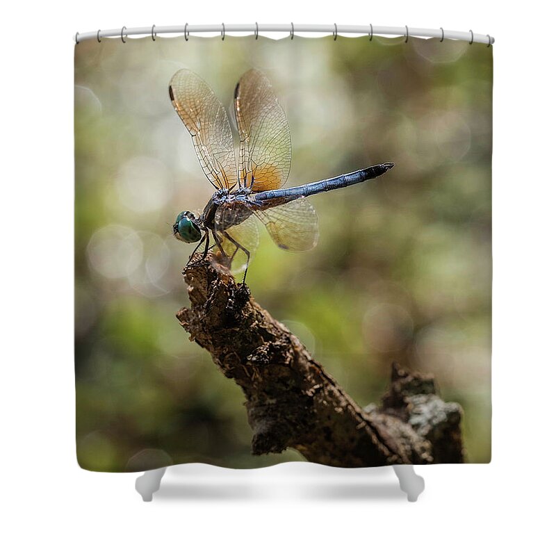 Insect Shower Curtain featuring the photograph Dragonfly by Grant Twiss