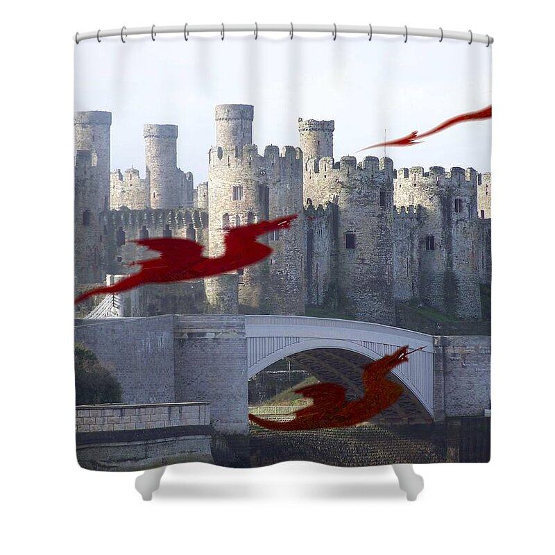 Dragons Shower Curtain featuring the photograph Dragons at play by Christopher Rowlands