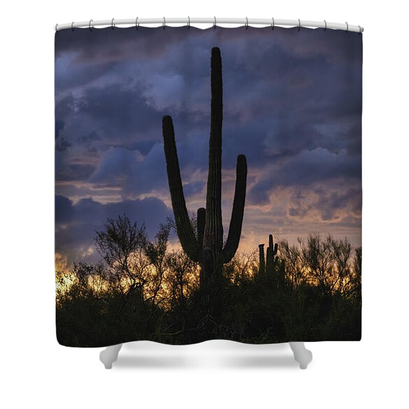 Saguaro Sunset Shower Curtain featuring the photograph Dramatic Sunset Skies Of The Sonoran by Saija Lehtonen