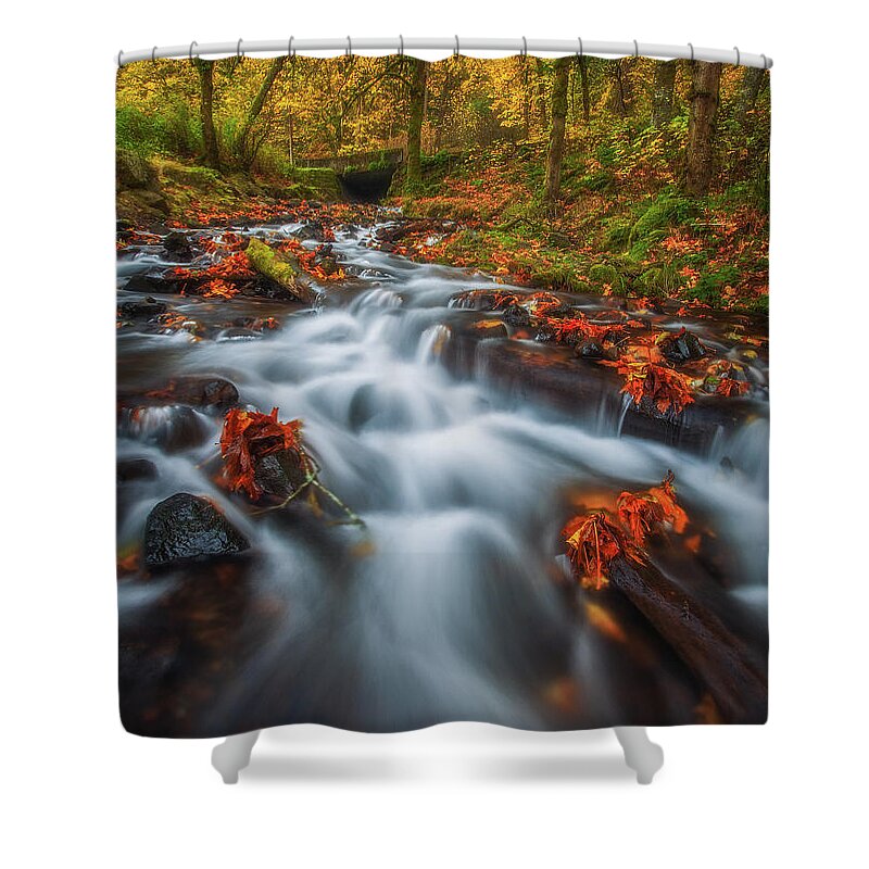 Fall Shower Curtain featuring the photograph Dreaming of Fall by Darren White
