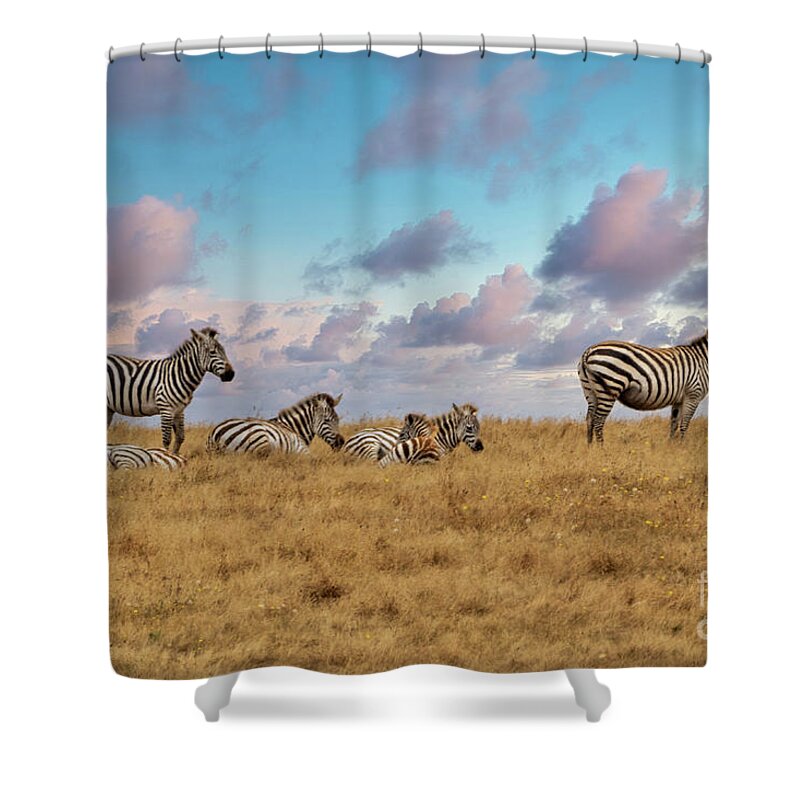 Zebra Shower Curtain featuring the photograph Dreaming of Zebras in the California Hills by Mimi Ditchie