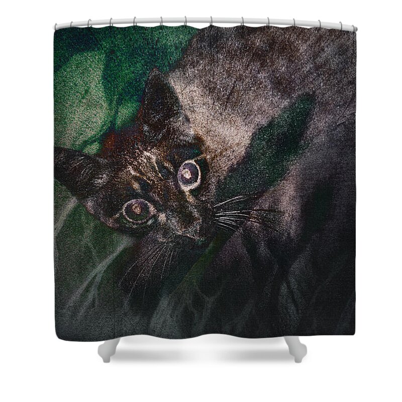 Photography Shower Curtain featuring the photograph Dreams of the Wild by Craig Boehman