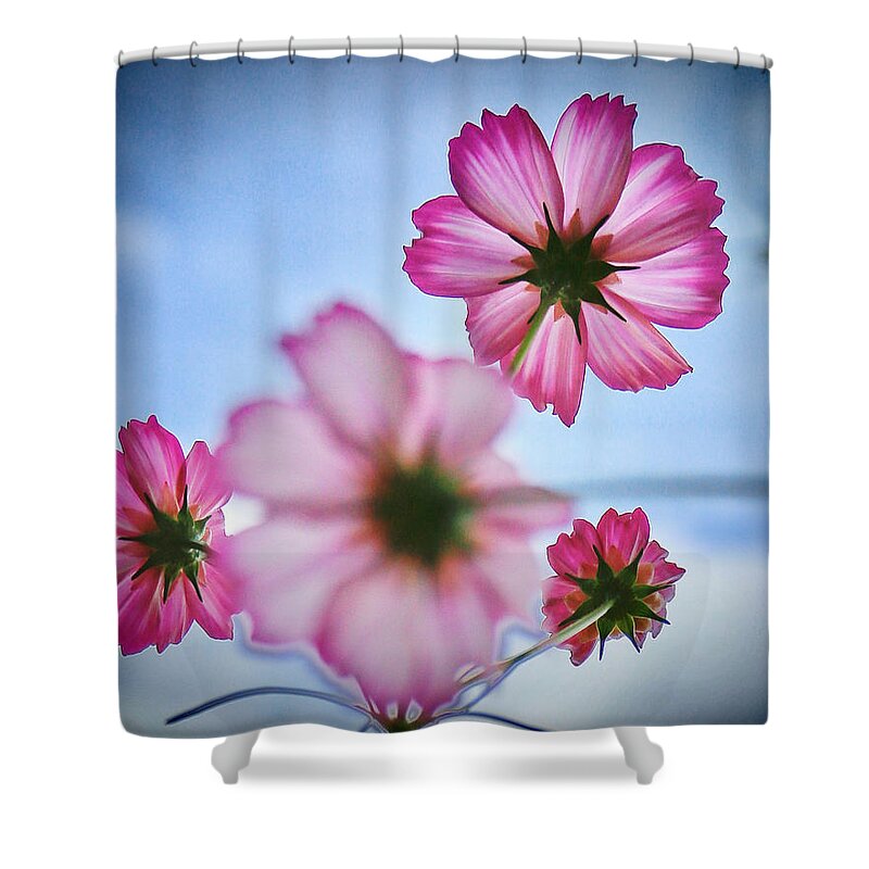 Flower Shower Curtain featuring the photograph Dreamy Denver Sky by Carol Jorgensen