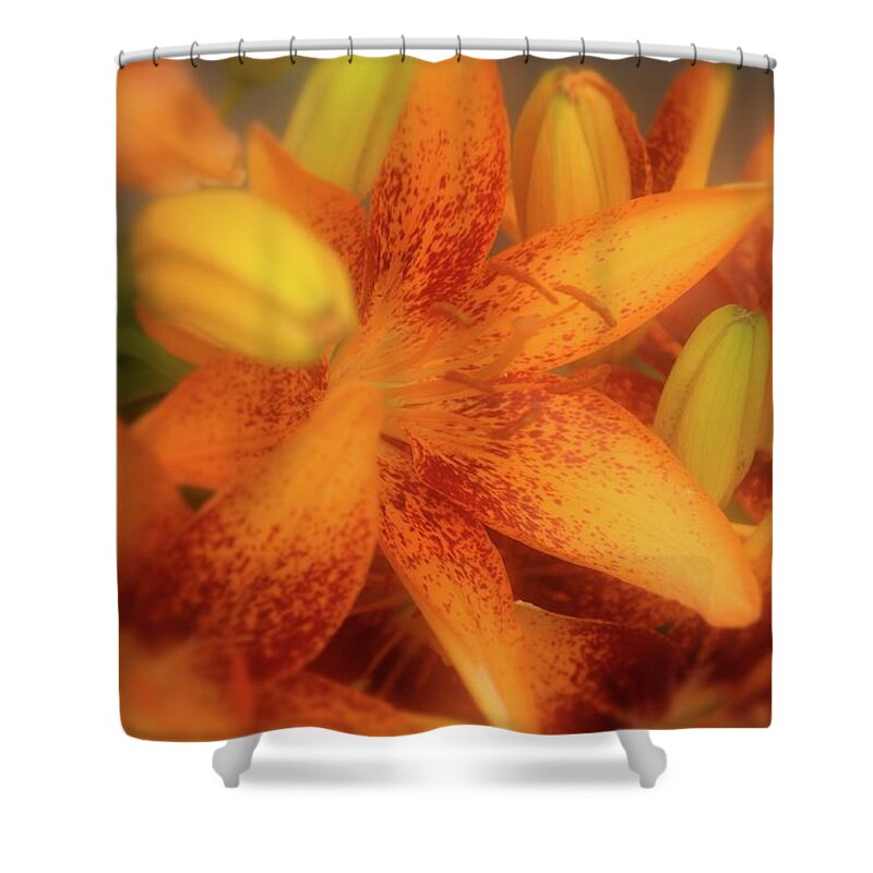 Lily Shower Curtain featuring the photograph Dreamy Orange Sensation Lily by Angie Tirado
