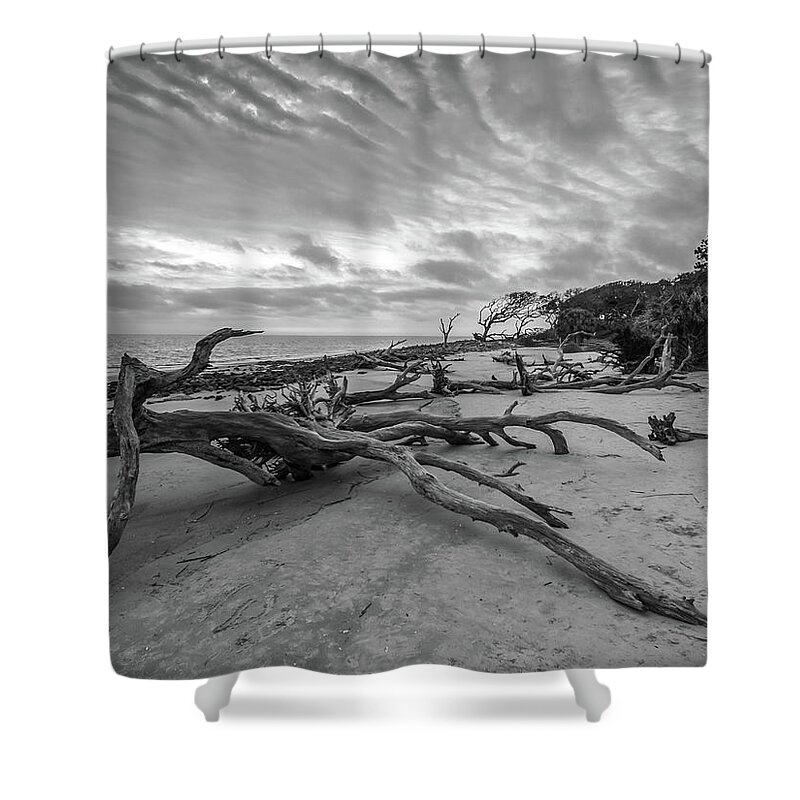 3-nature Shower Curtain featuring the photograph Drift wood beach photograph by Louis Dallara