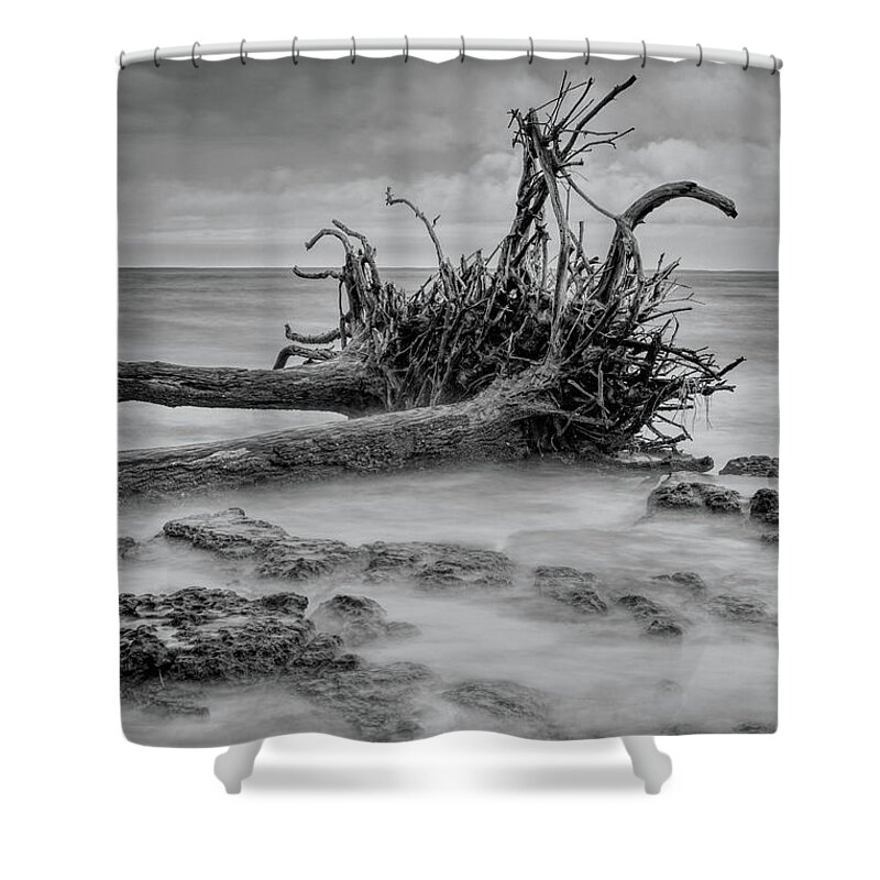 Black Shower Curtain featuring the photograph Driftwood Beach in Black and White by Carolyn Hutchins