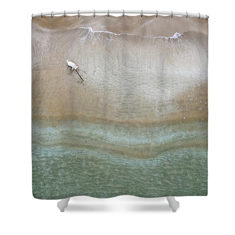 Animal Running Shower Curtain featuring the photograph Drone aerial of white Dog running and playing at empty sandy beach by Michalakis Ppalis