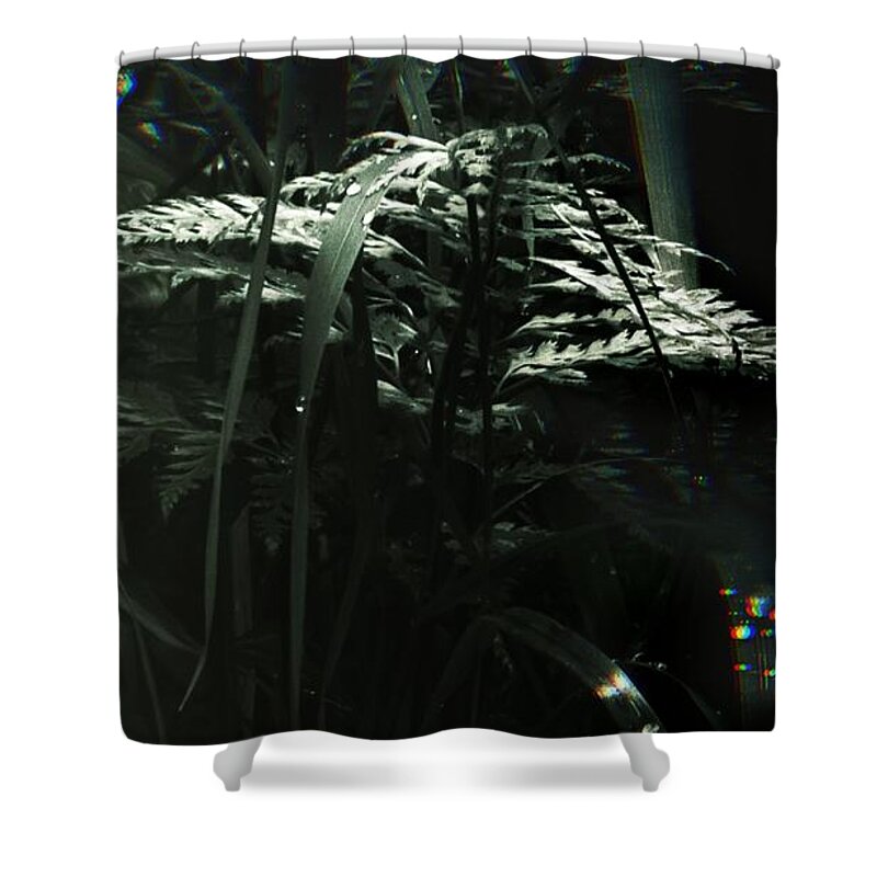 Leaves Shower Curtain featuring the photograph DROPLETS Magic Forest by Auranatura Art