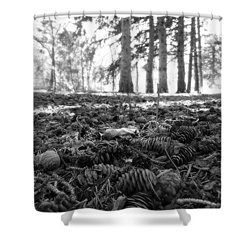 Pine Cones Shower Curtain featuring the photograph Dropped From Above in Black and White by Amanda R Wright