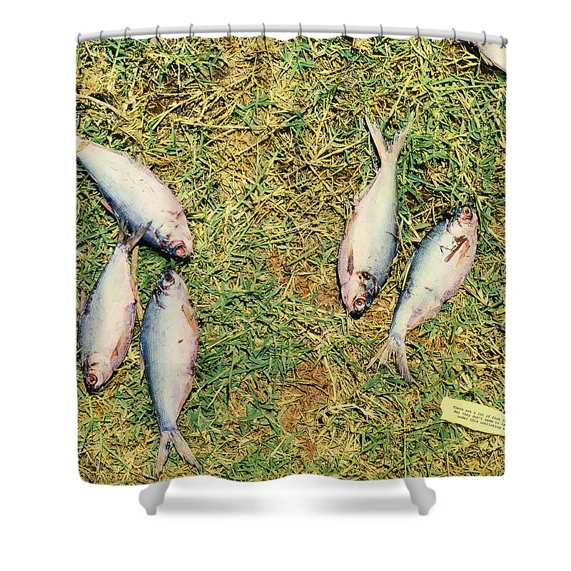 Death Shower Curtain featuring the mixed media Dry Fish by James W Johnson