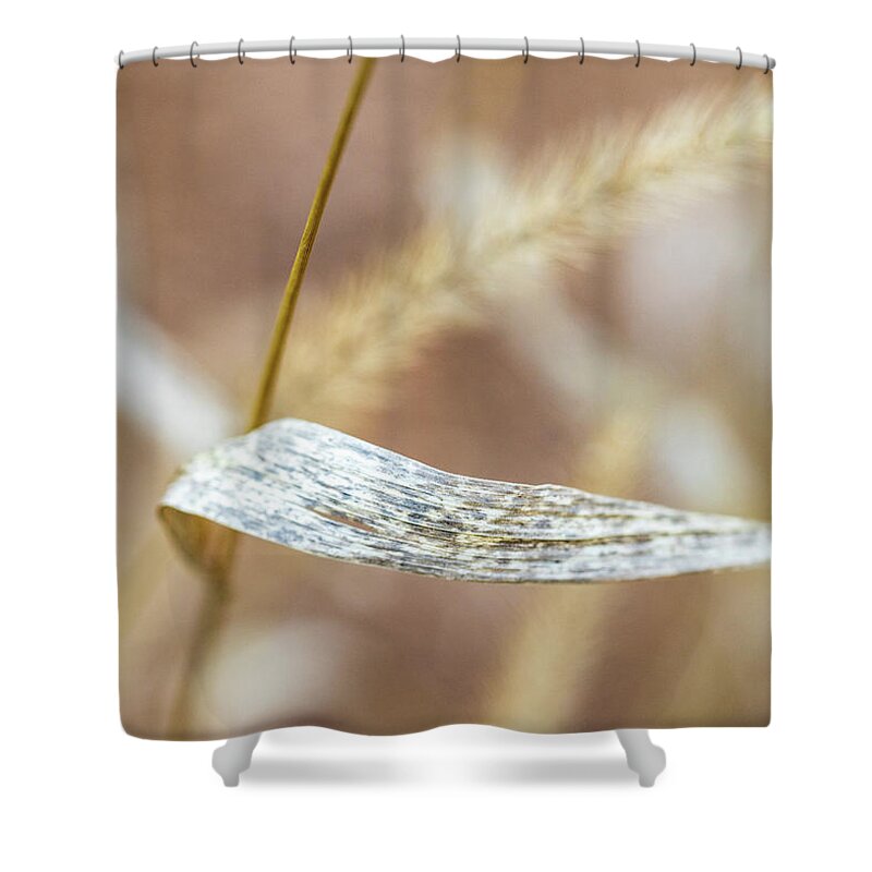 Nature Shower Curtain featuring the photograph Dry Grass by Amelia Pearn