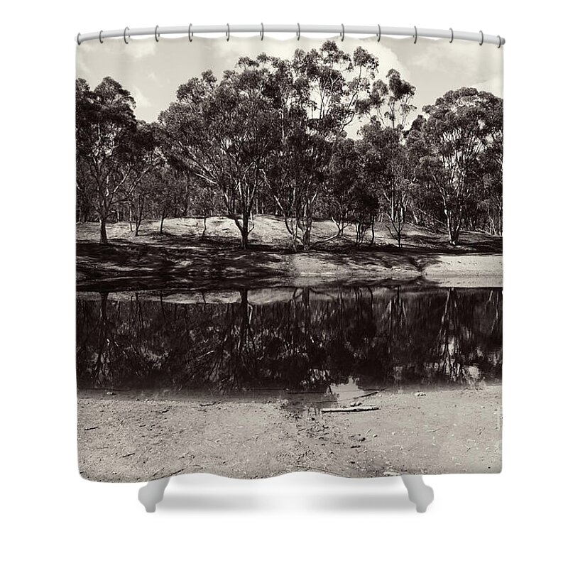 Dryandra Shower Curtain featuring the photograph Dryandra National Park by Cassandra Buckley