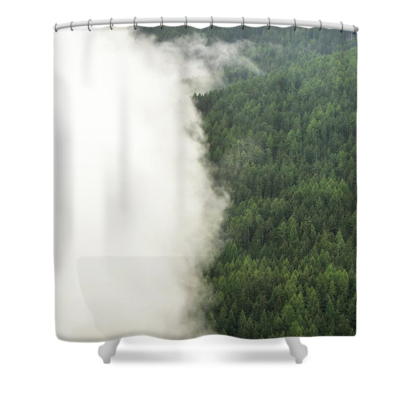 Forest Shower Curtain featuring the photograph DSC08265 - Forest Cloud by Marco Missiaja