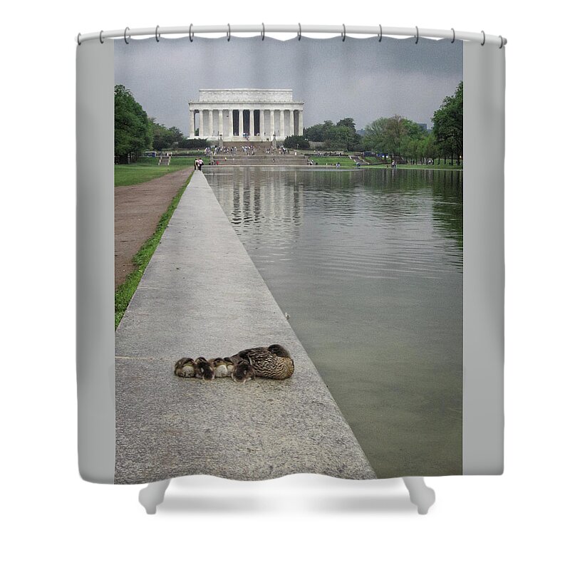 Lincoln Memorial Shower Curtain featuring the photograph Duck Family and the Lincoln Memorial Washington DC by Mary Lee Dereske