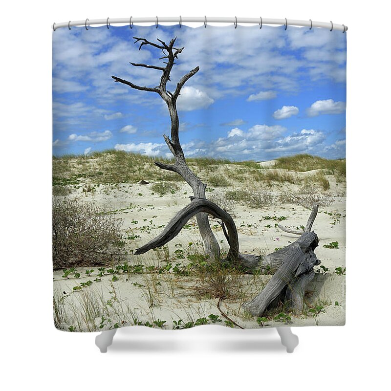 Landscape Shower Curtain featuring the photograph Dune Driftwood II by Mary Haber