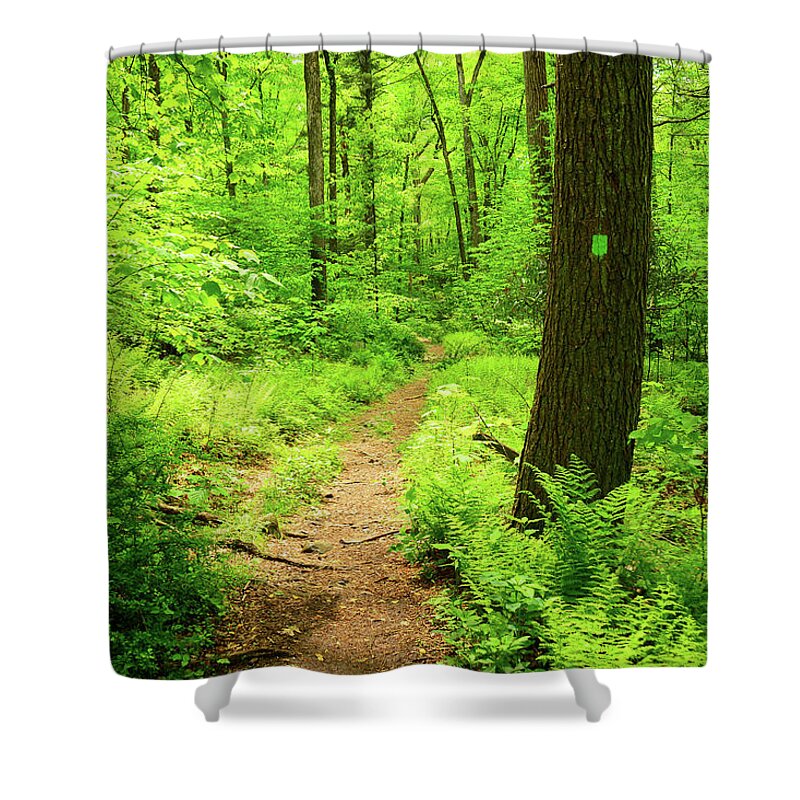 Dwg Dunnfield Creek Spring Green And Trail Blaze Shower Curtain featuring the photograph DWG Dunnfield Creek Spring Green and Trail Blaze by Raymond Salani III