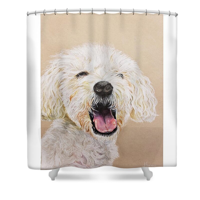 Dogs Shower Curtain featuring the drawing Dylan by James Andrews