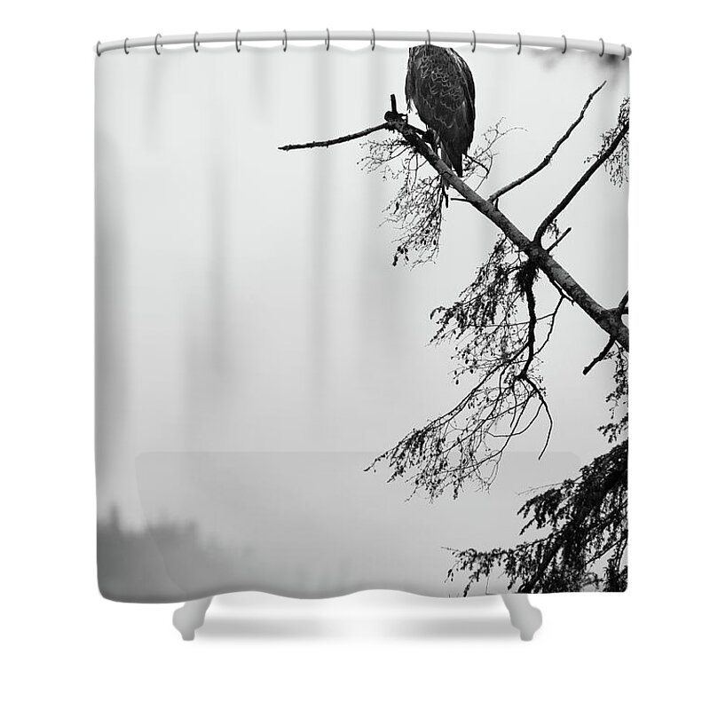  Shower Curtain featuring the photograph Eagle Black and White by Michael Rauwolf