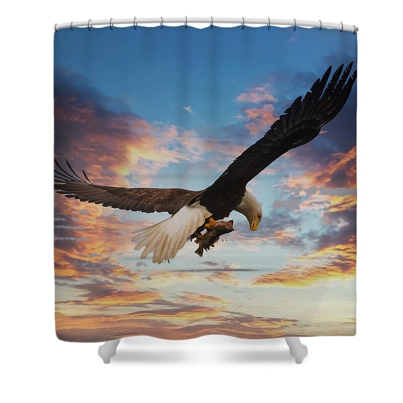 Alaska Shower Curtain featuring the photograph Eagle on Dramatic Sky by Darryl Brooks
