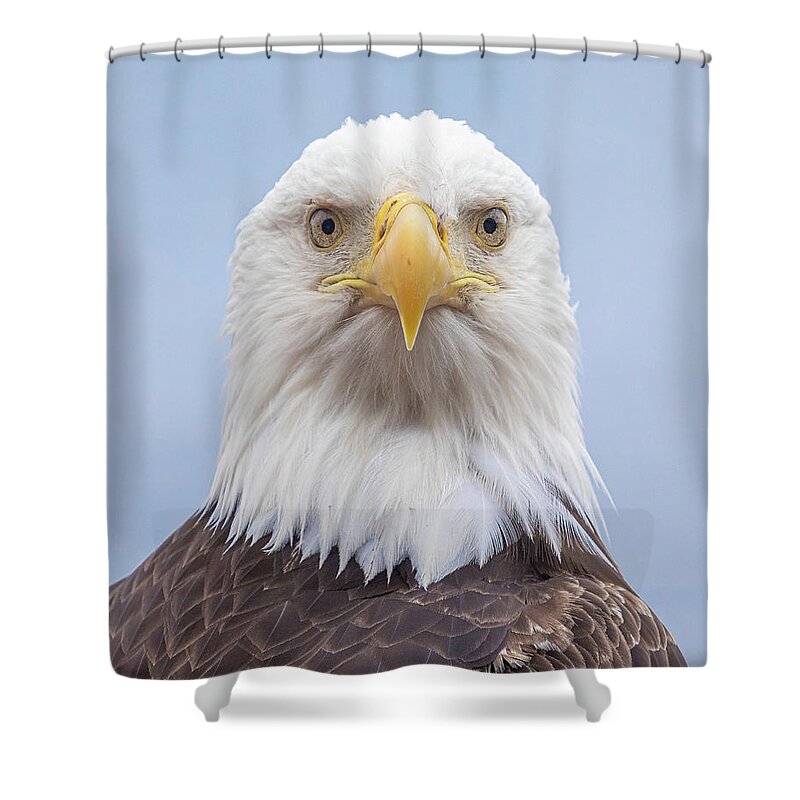 Eagle Shower Curtain featuring the photograph Eagle Stare by Michael Rauwolf