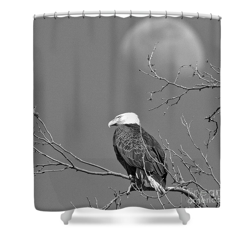 Eagle Shower Curtain featuring the photograph Eagle Under The Rising Moon Black And White by Adam Jewell