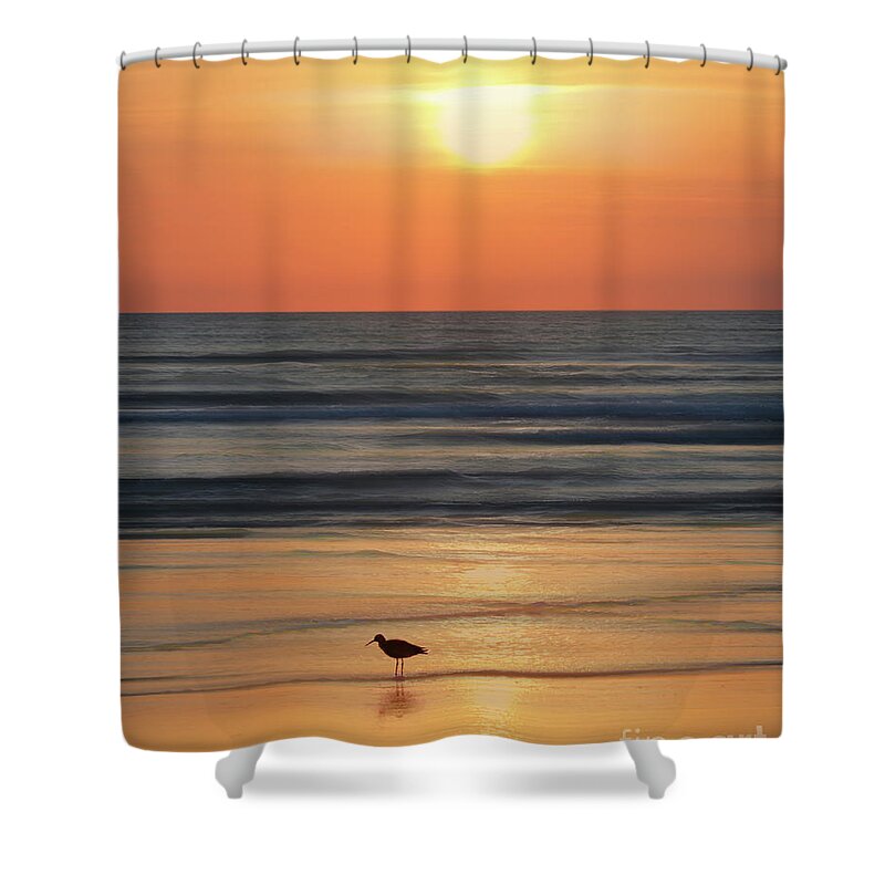 Dawn Shower Curtain featuring the photograph Early Morning on the Beach by Neala McCarten