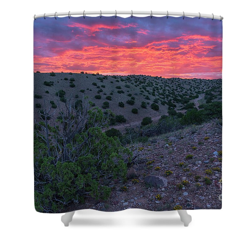 Landscape Shower Curtain featuring the photograph Early Morning by Seth Betterly