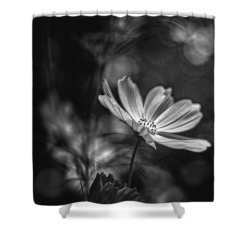 Flower Shower Curtain featuring the photograph Early Spring by Bob Orsillo
