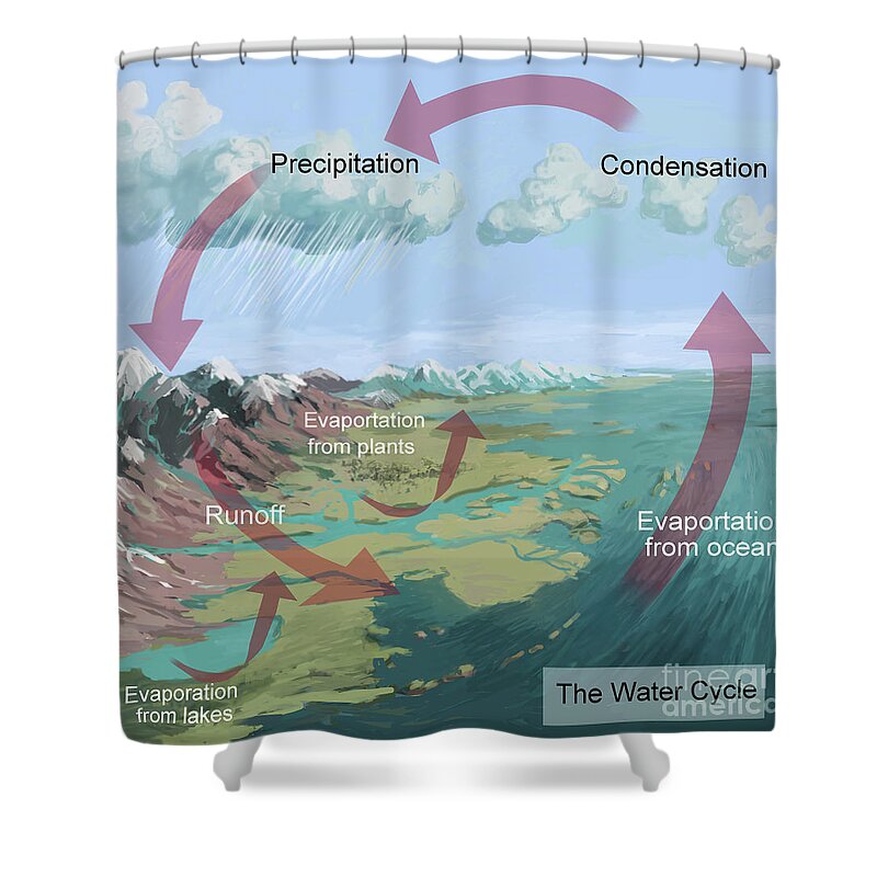 Precipitation Shower Curtain featuring the photograph Earths Water Cycle by Spencer Sutton