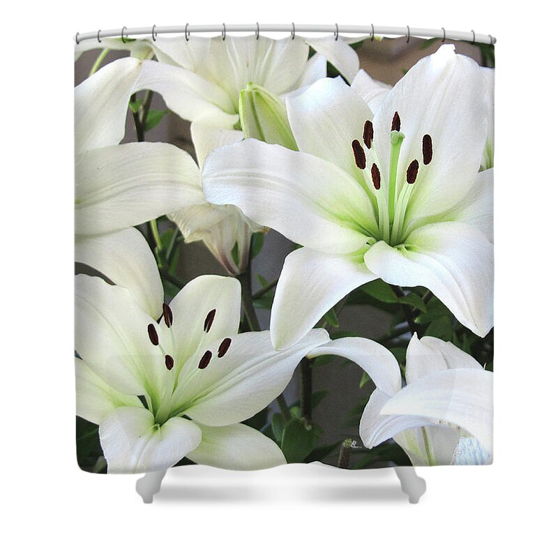 White Shower Curtain featuring the photograph Easter Lilies by Wendy Golden