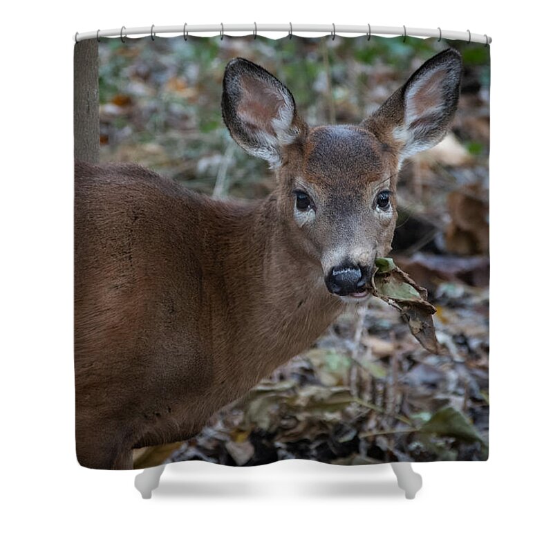 Animal Shower Curtain featuring the photograph Eat Your Greens by Linda Bonaccorsi