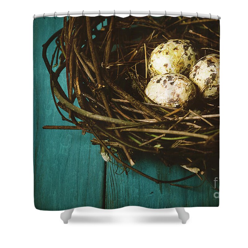 Easter Shower Curtain featuring the photograph Eggs in Nest by Jelena Jovanovic